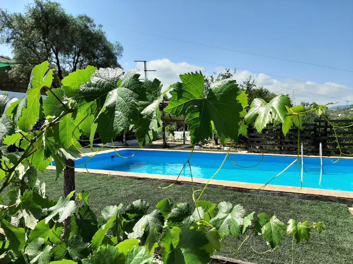 Vivienda Rural Maestro Herrador أوبريق المظهر الخارجي الصورة